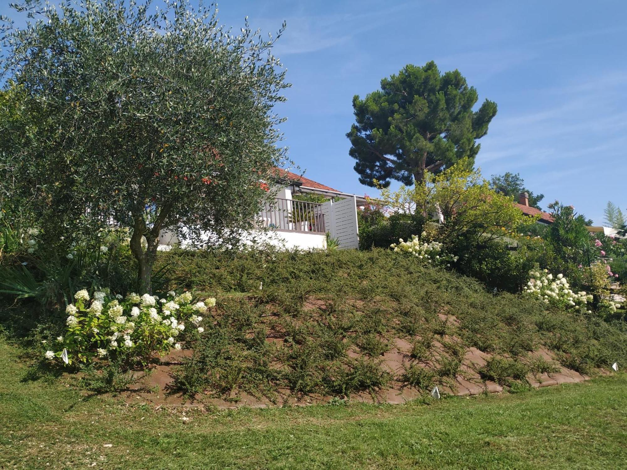 Villa Casa Fellini à San Zeno di Montagna Extérieur photo